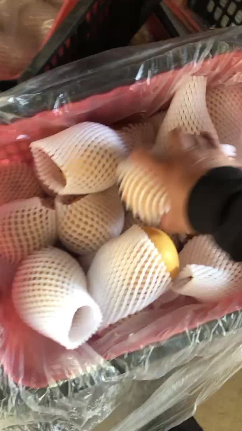 丰水梨海量货源，价格便宜，质量好，批发零售电商均可
