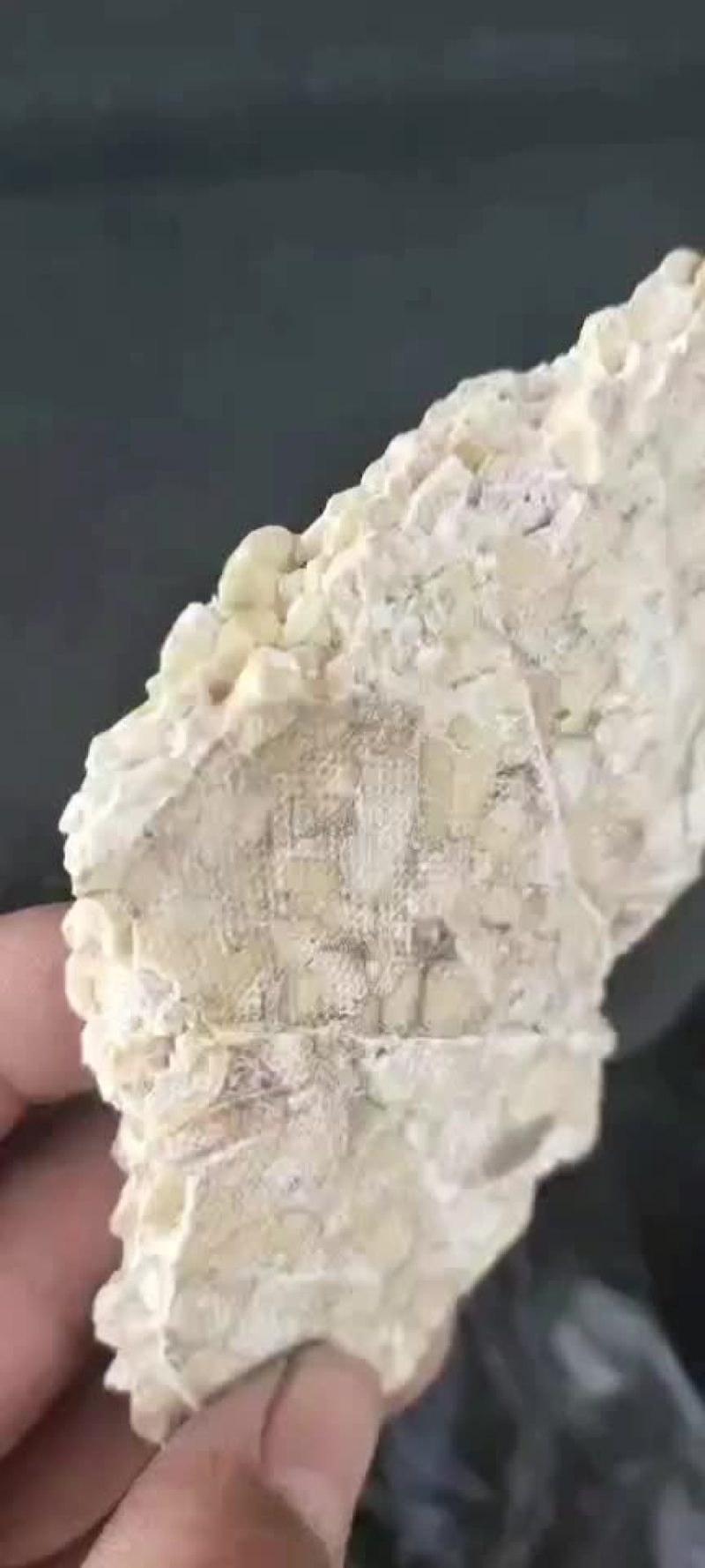 文冠果油油饽厂家大量现货批发