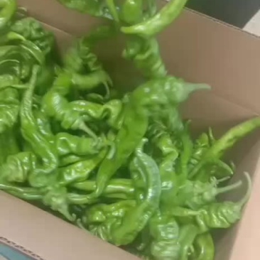 螺丝椒