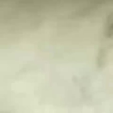精品花生壳粉
