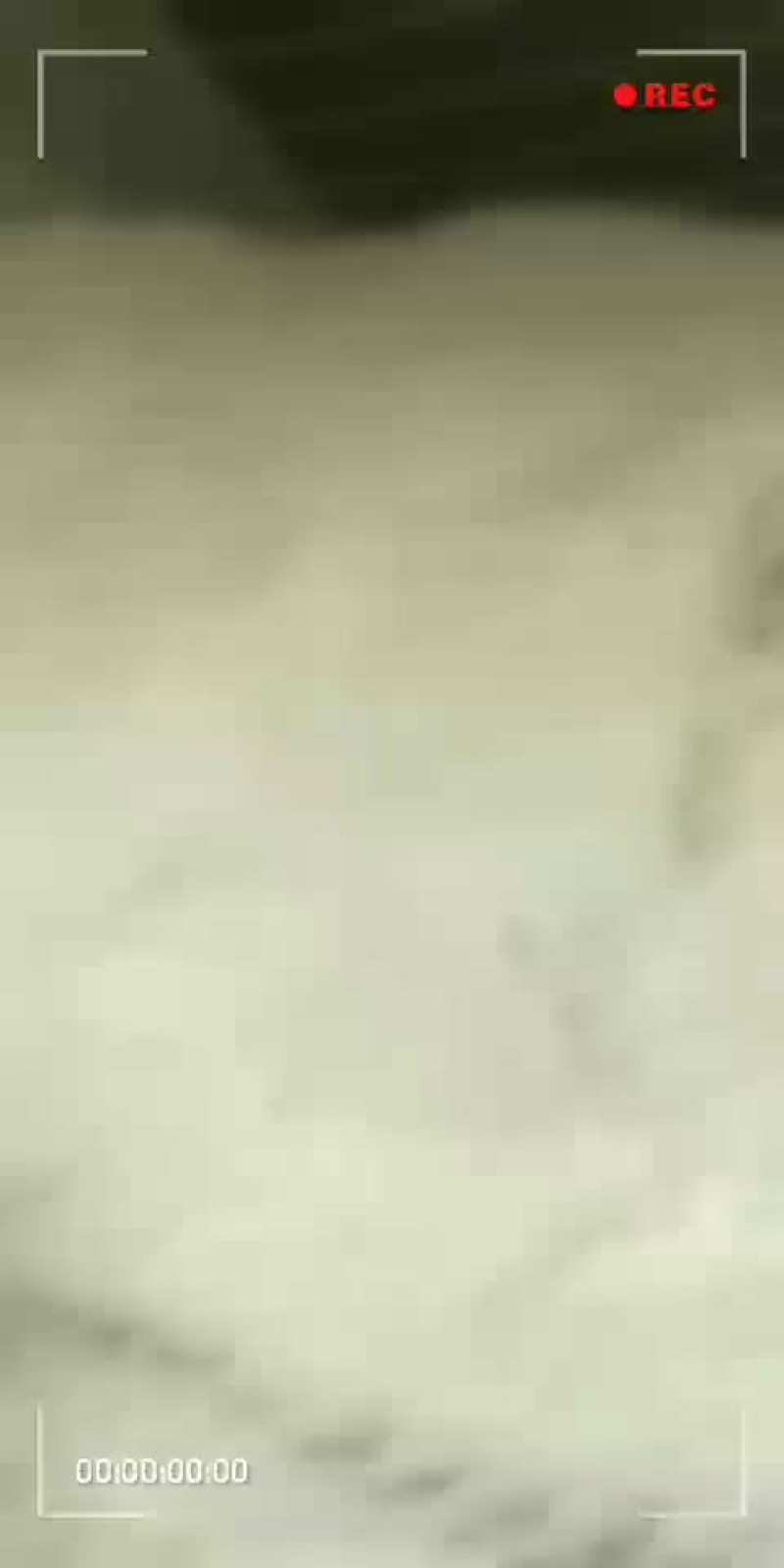 精品花生壳粉