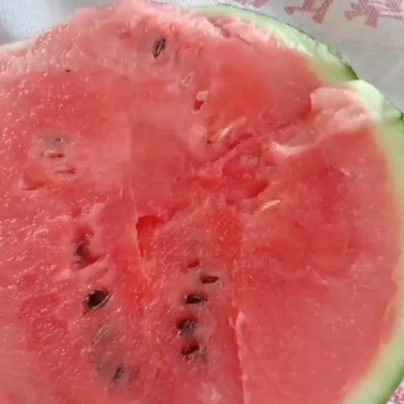 甜王西瓜产地直供，皮薄脆甜可口，