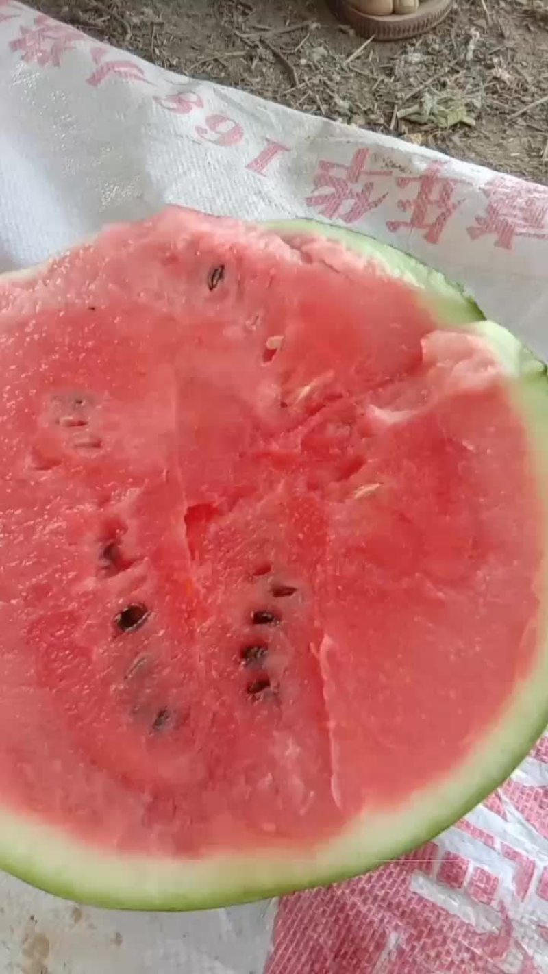 甜王西瓜产地直供，皮薄脆甜可口，