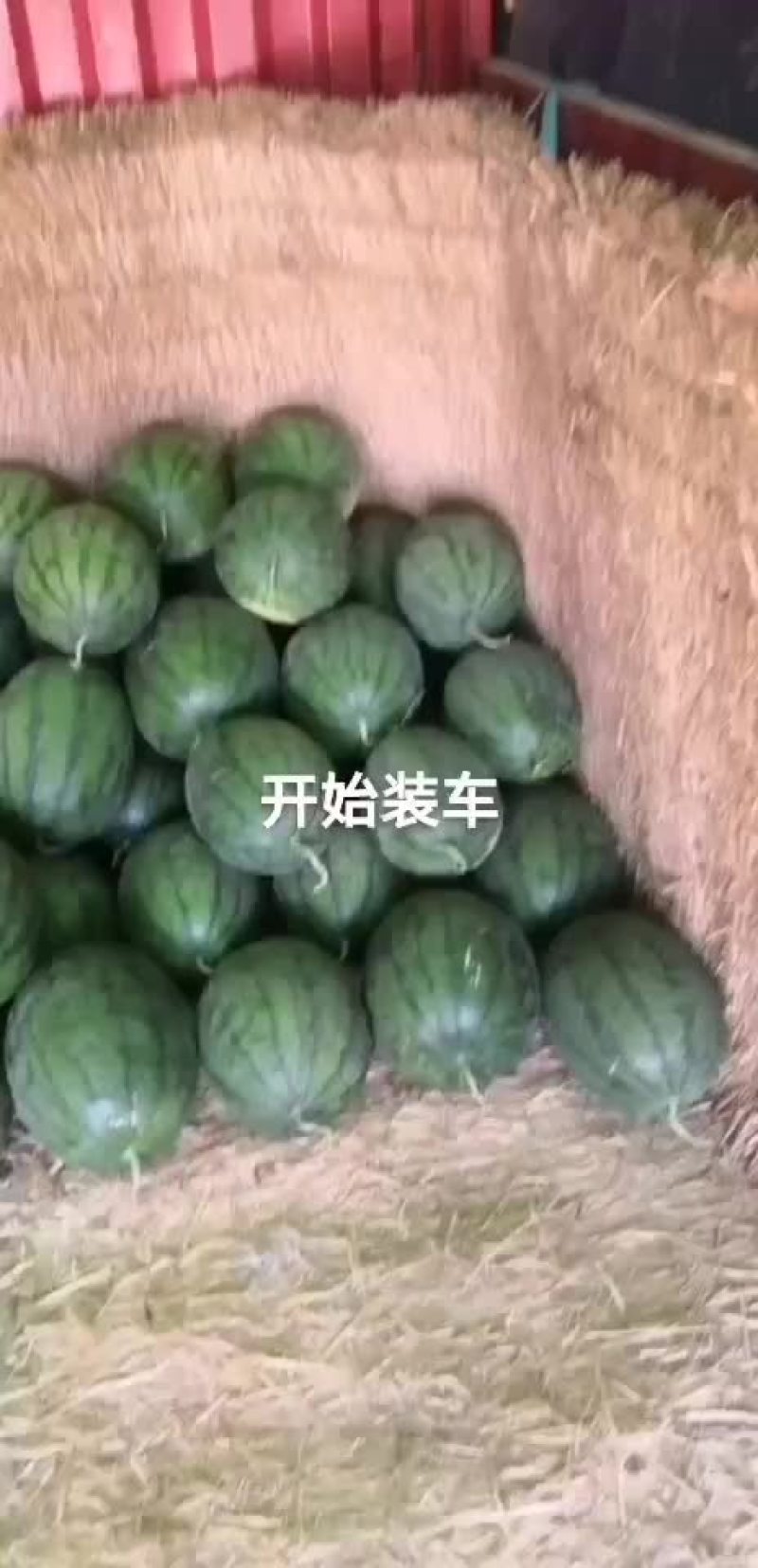 沙甜西瓜