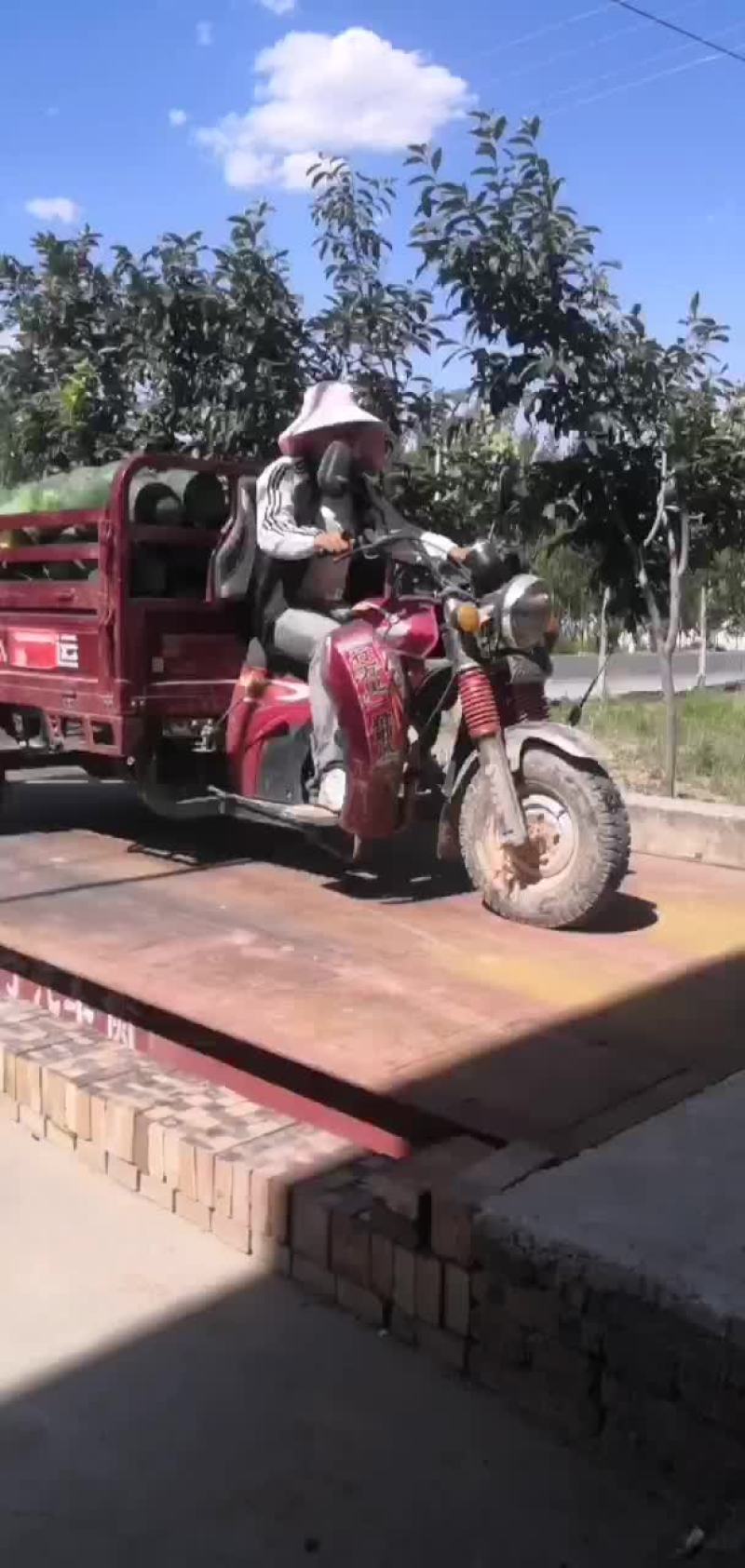 沙甜西瓜