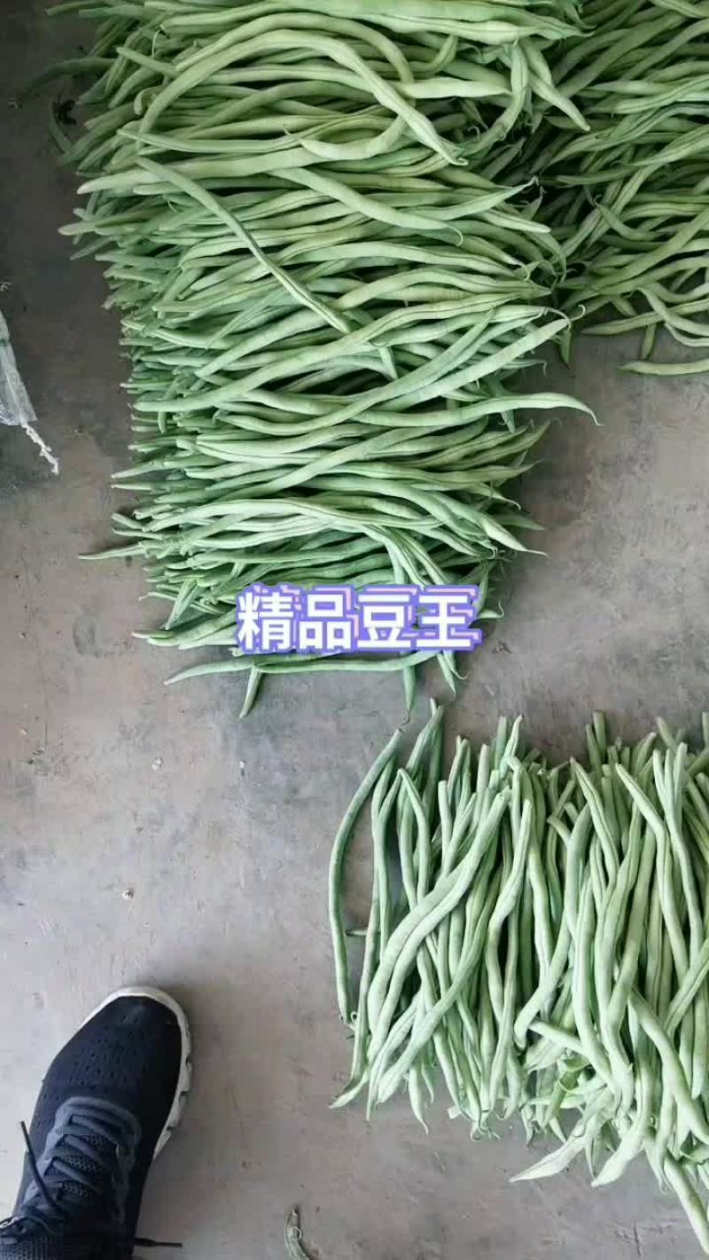 精品豆王