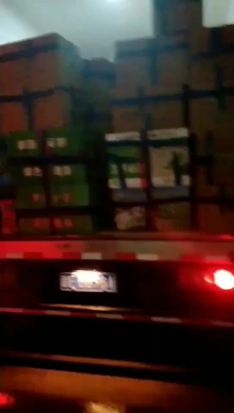 【精品菠菜苗】质量好，价格优，欢迎老板随时选购