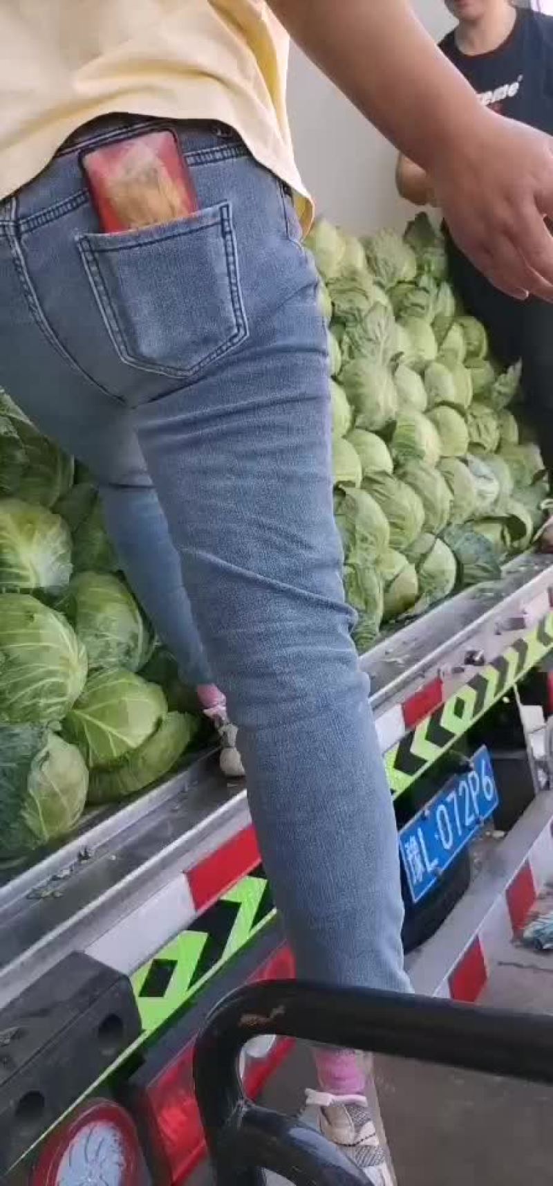 甘蓝