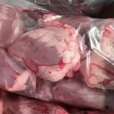 内蒙古羊副产品-羊心质量好量大从优欢迎采购咨询