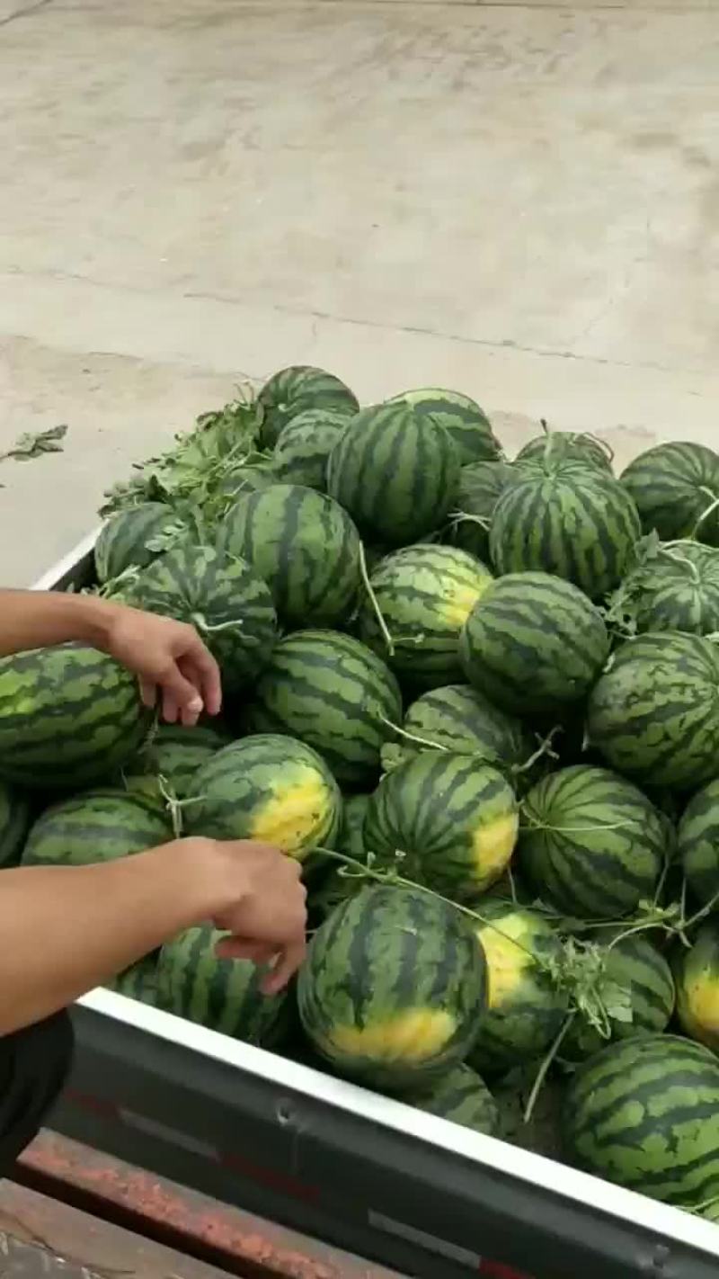 西瓜