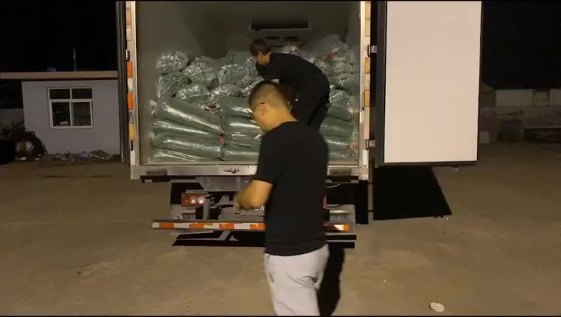 原产地供应高品质苇叶