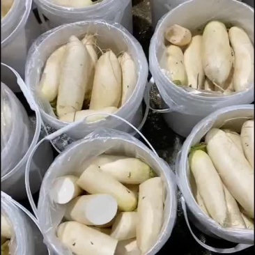 醋萝卜