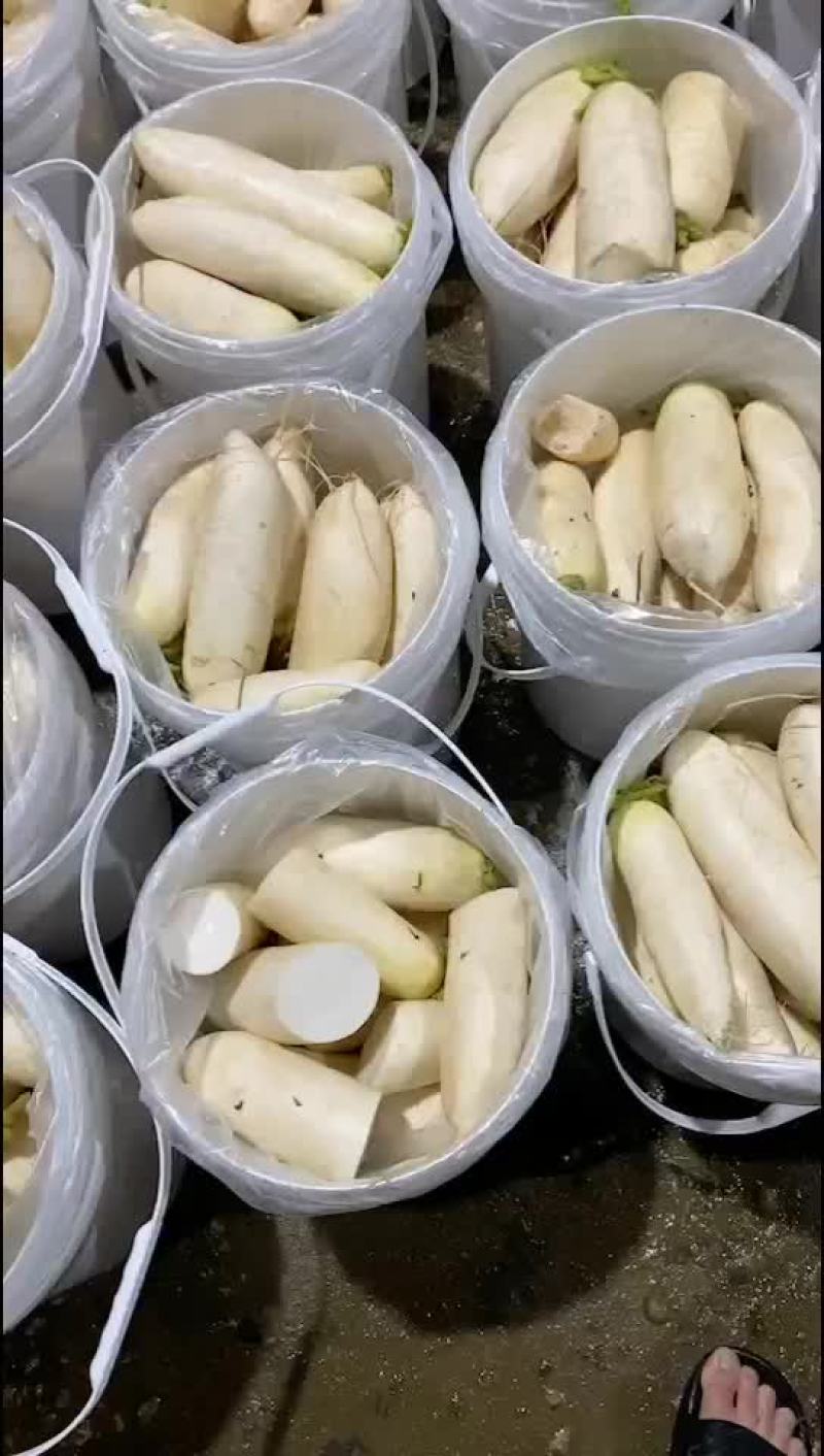 醋萝卜