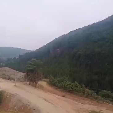 共同开发