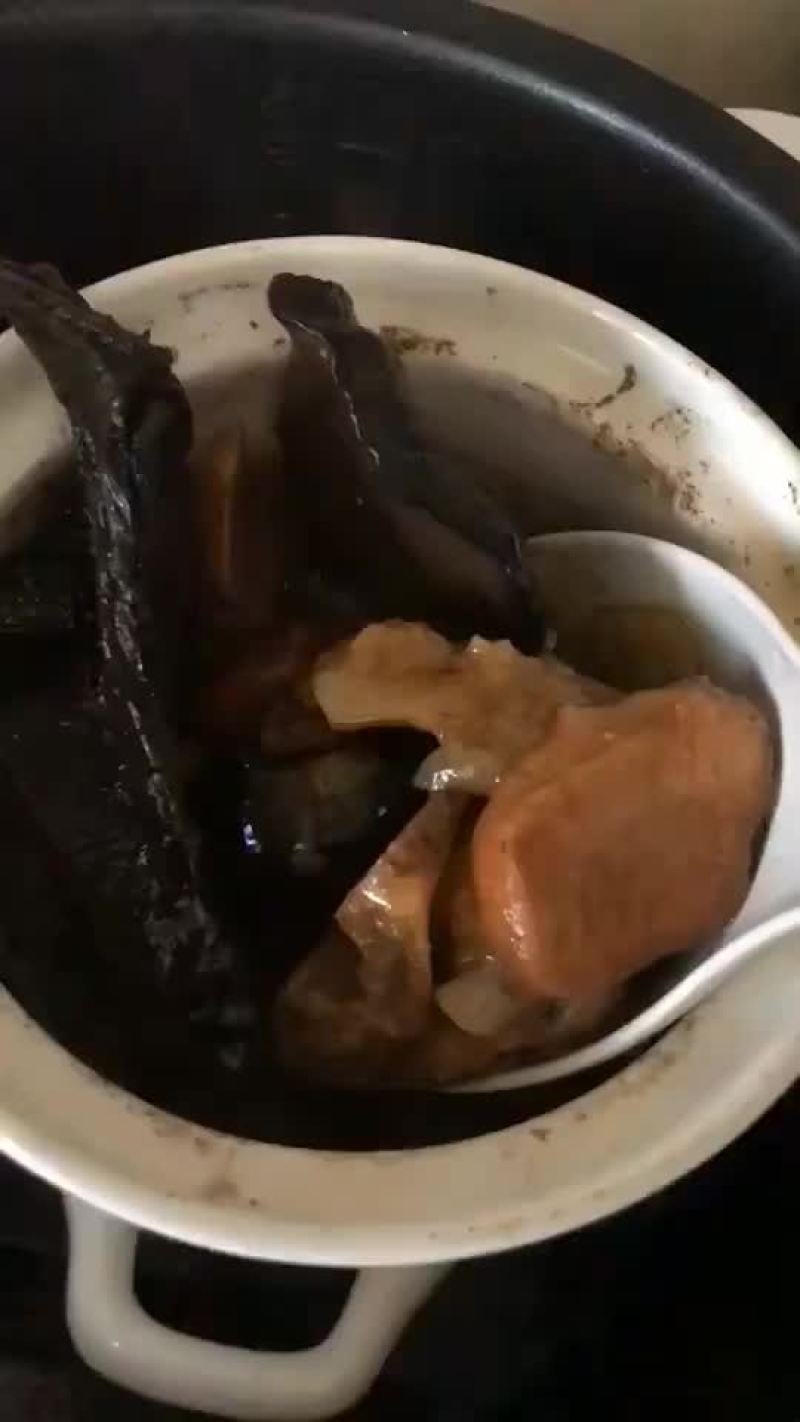 灵芝