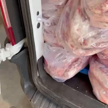 羊排