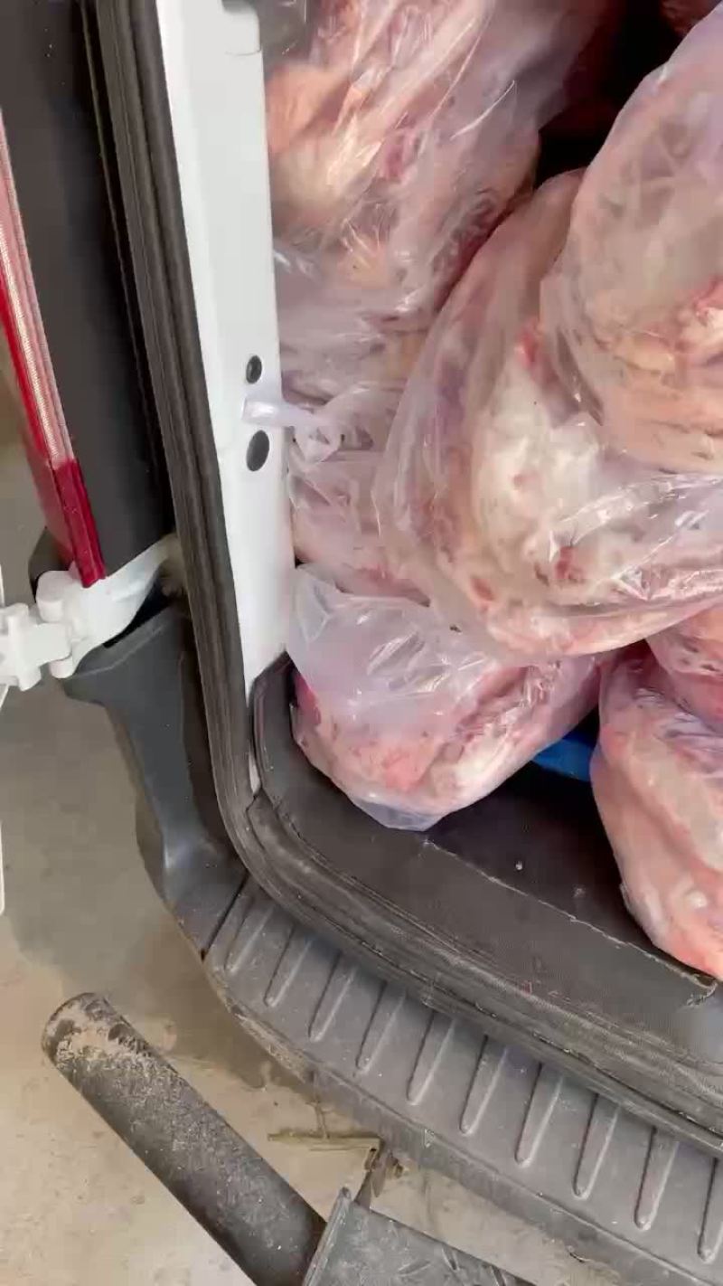 羊排