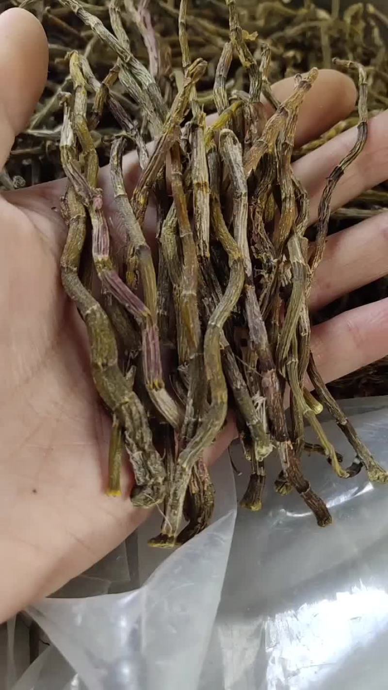 浙江品种铁皮石斛干条芽级微绿无渣味香，胶质粘