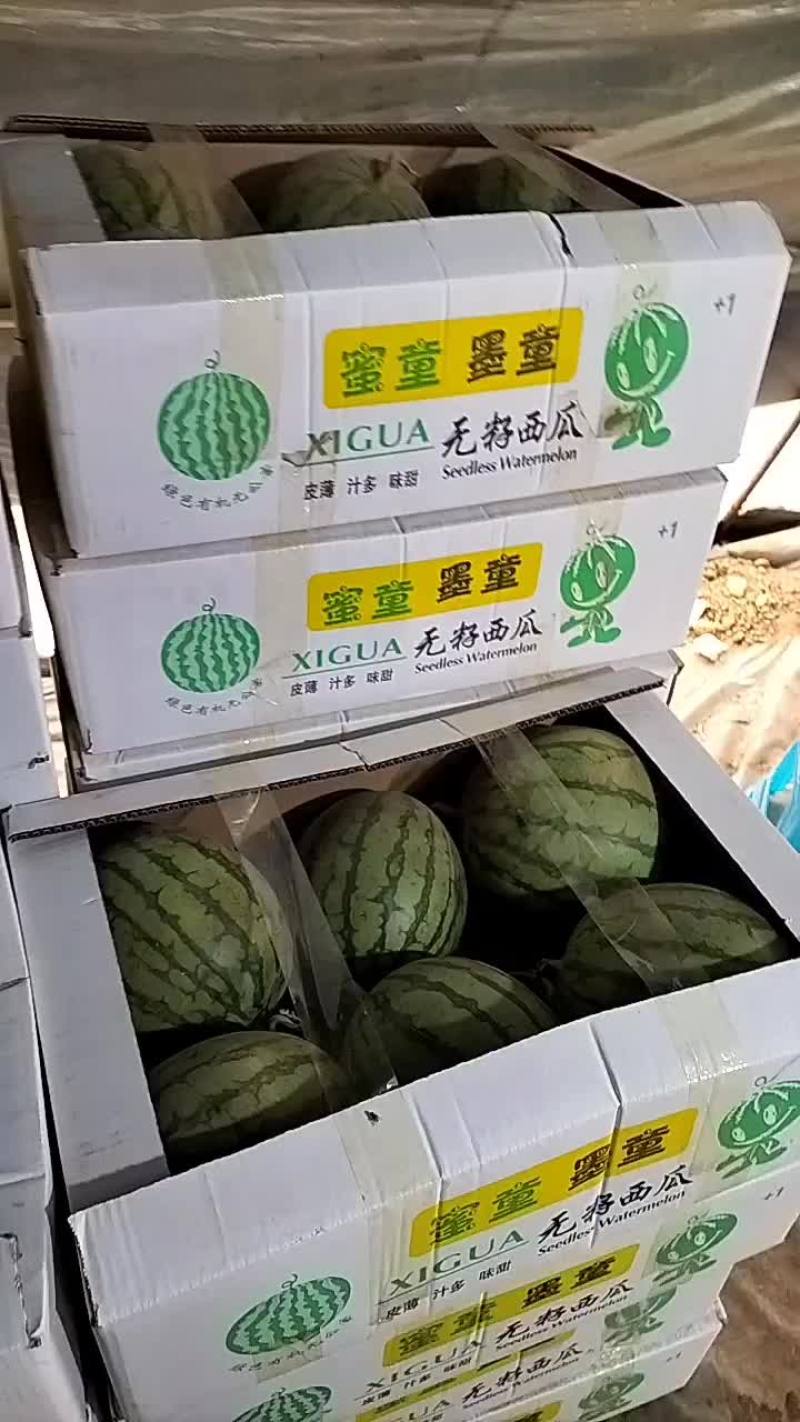 无籽蜜童西瓜，