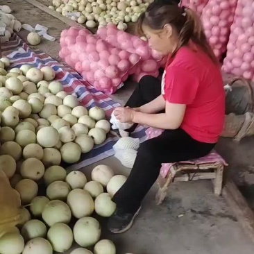甜瓜