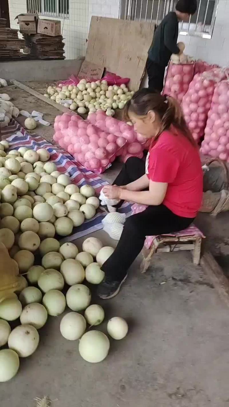甜瓜
