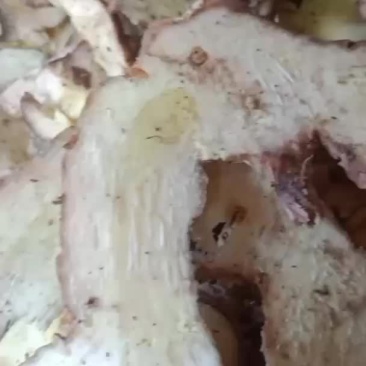 良姜片