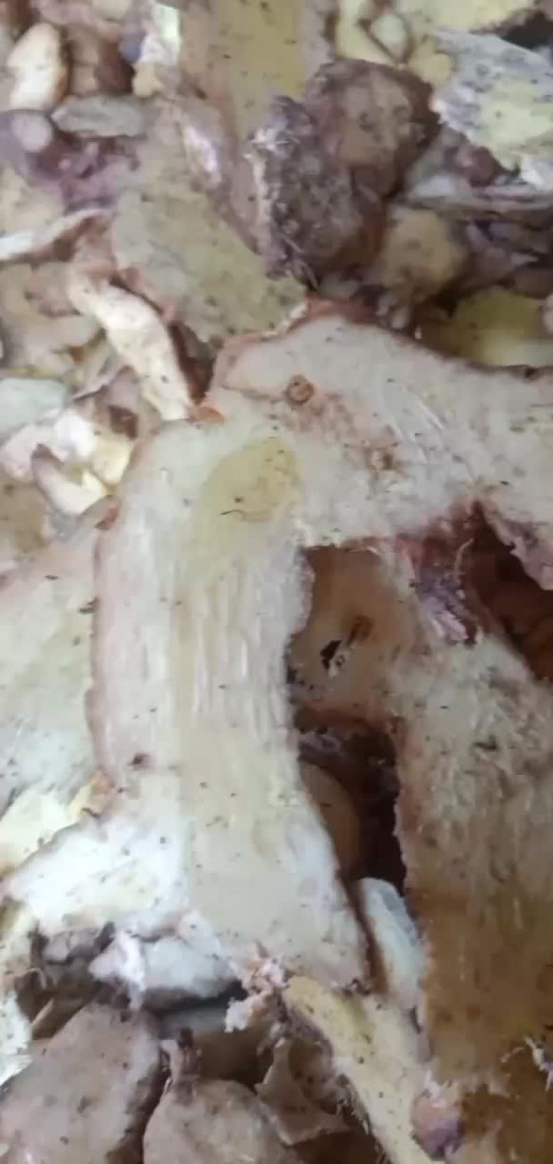 良姜片