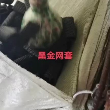 黑色高品质网套厂家直销货源充足可对接市场