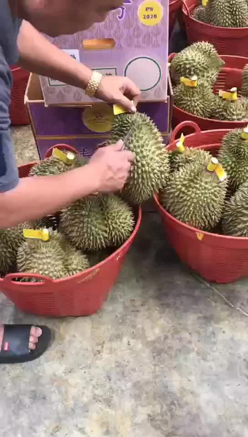 泰国工厂产地直发高碑店市场有需要可以加我微信联系啊！