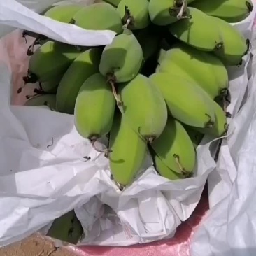 苹果蕉