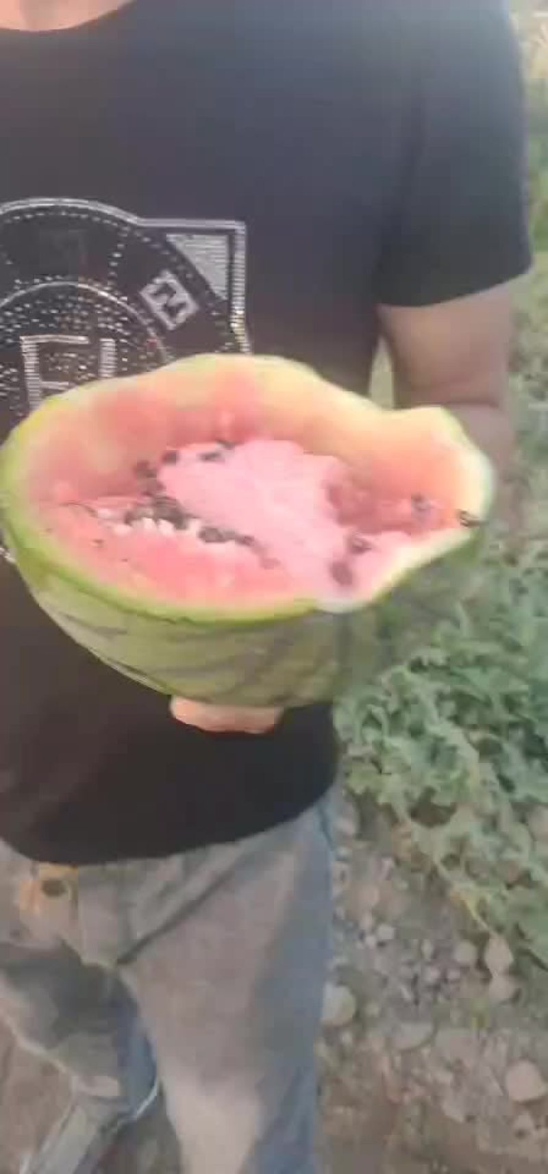 台头西瓜热卖中