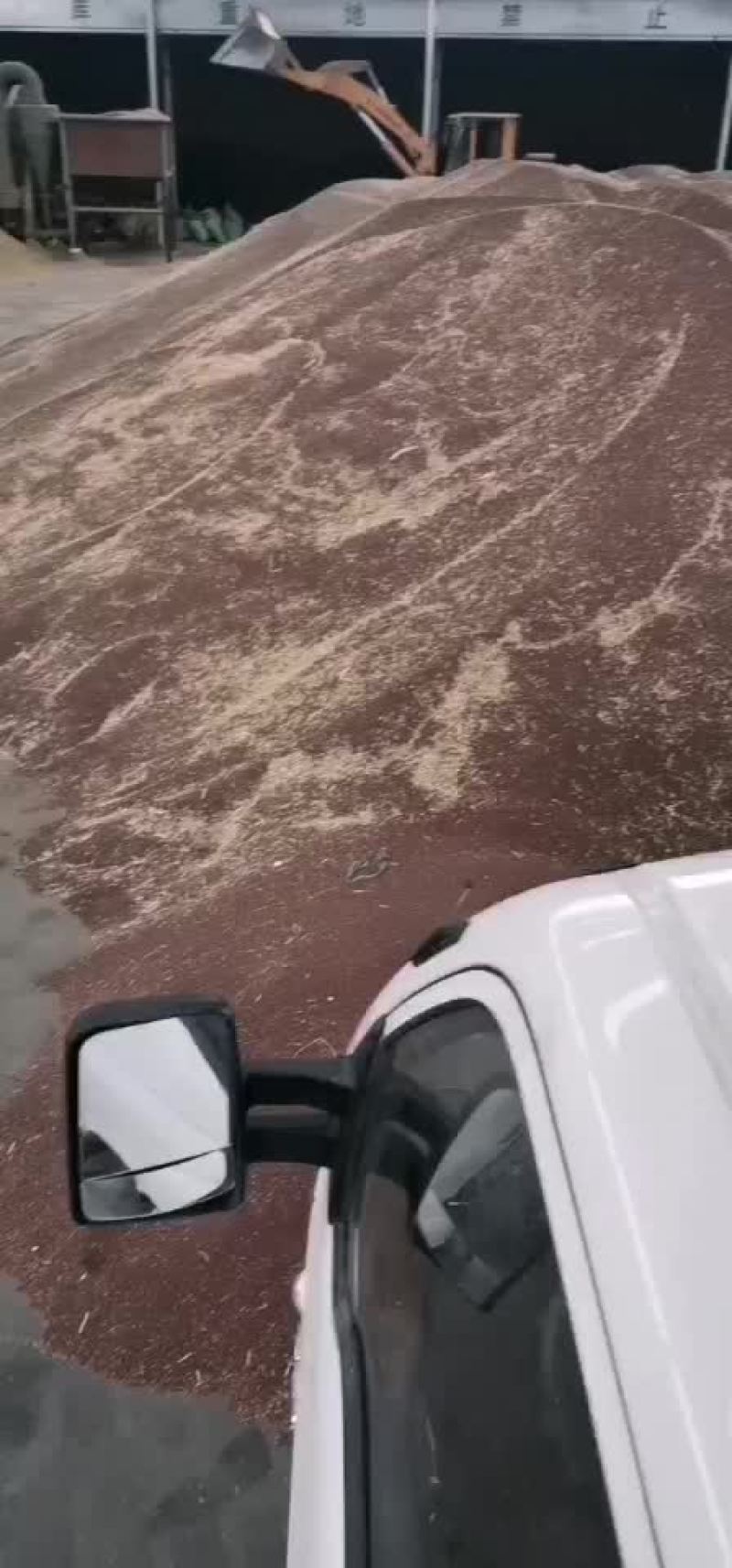 油釆籽