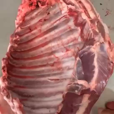 羔羊排