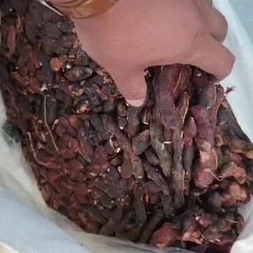 脱壳酸角