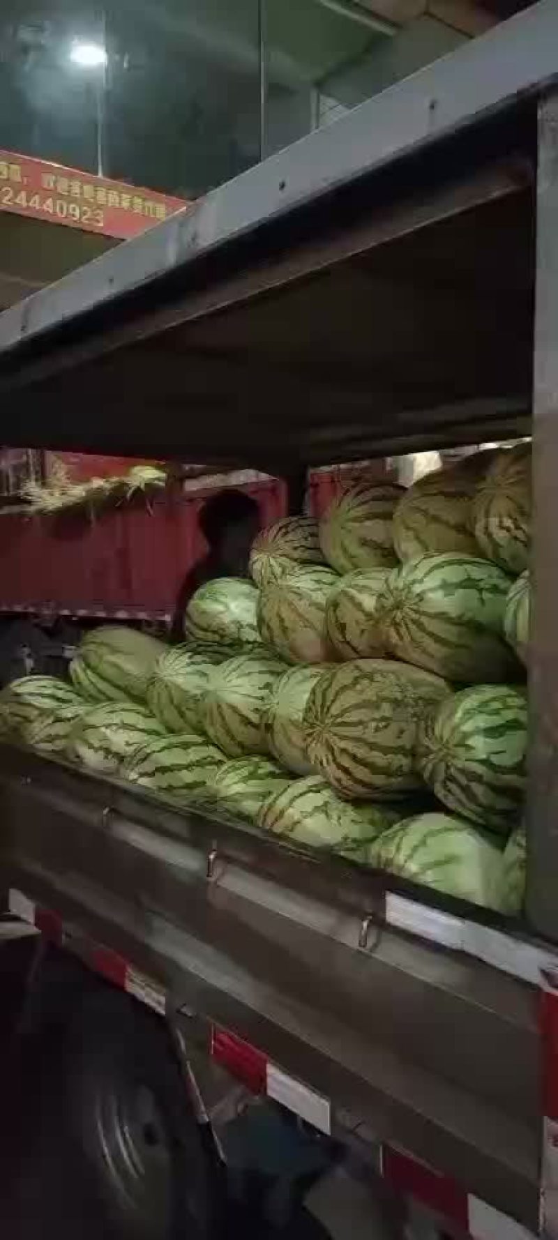 西瓜，麒麟瓜，甜王，黑美人，美都，金城五号