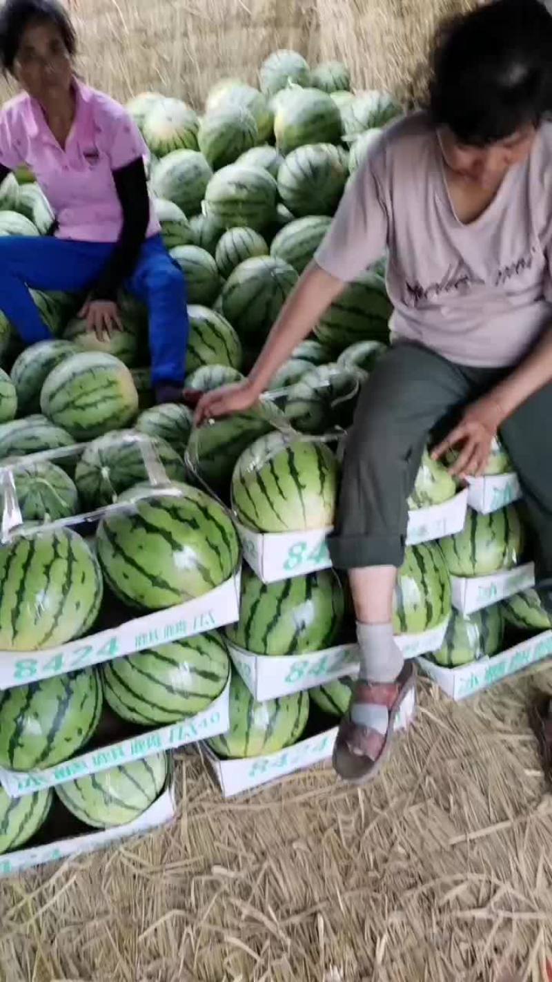 玖甜二号
