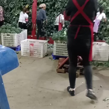 代收