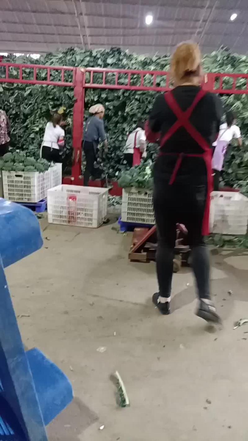 代收
