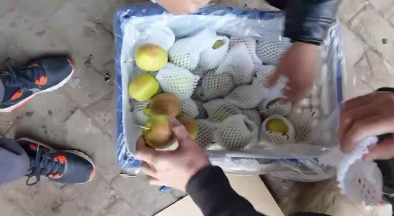 新梨七号🍐5-6毛一斤，质量好，价格优，全国发货