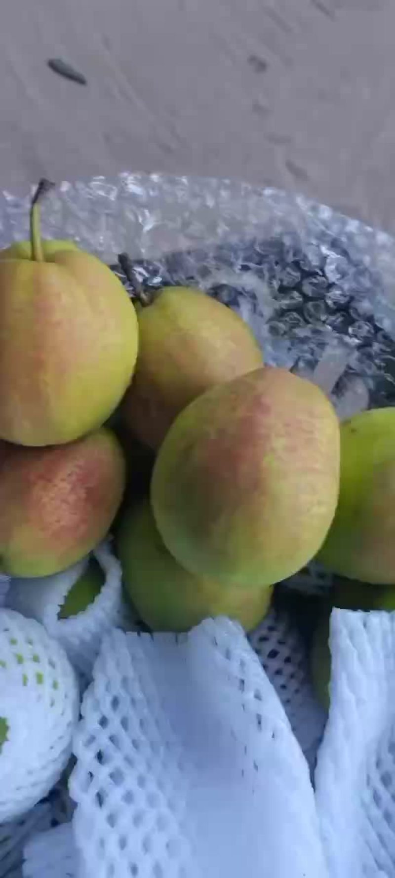 新梨七号🍐5-6毛一斤，质量好，价格优，全国发货
