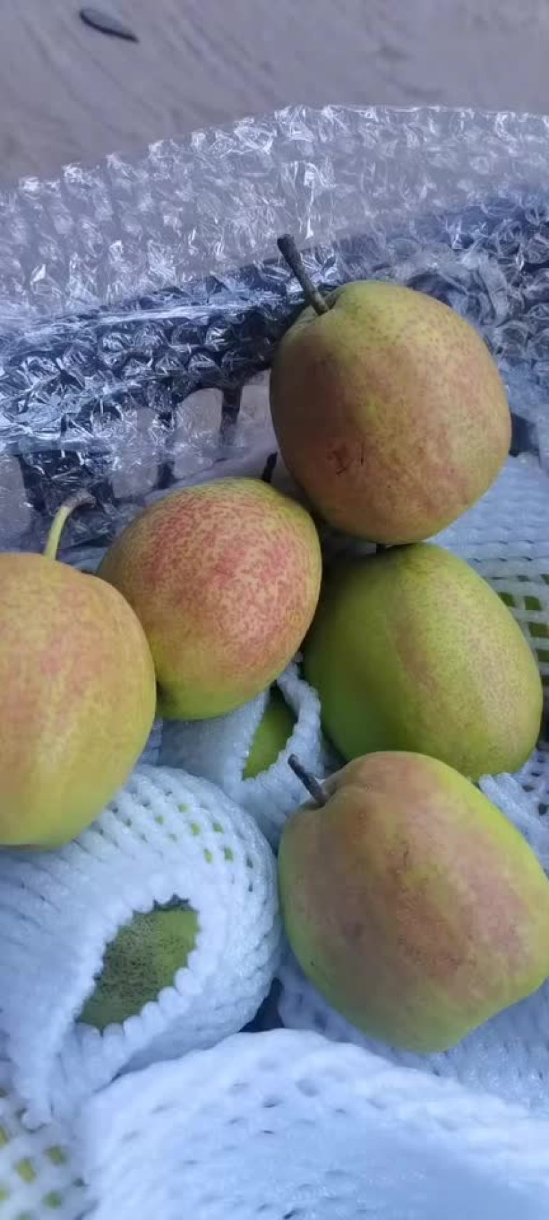 新梨七号🍐5-6毛一斤，质量好，价格优，全国发货
