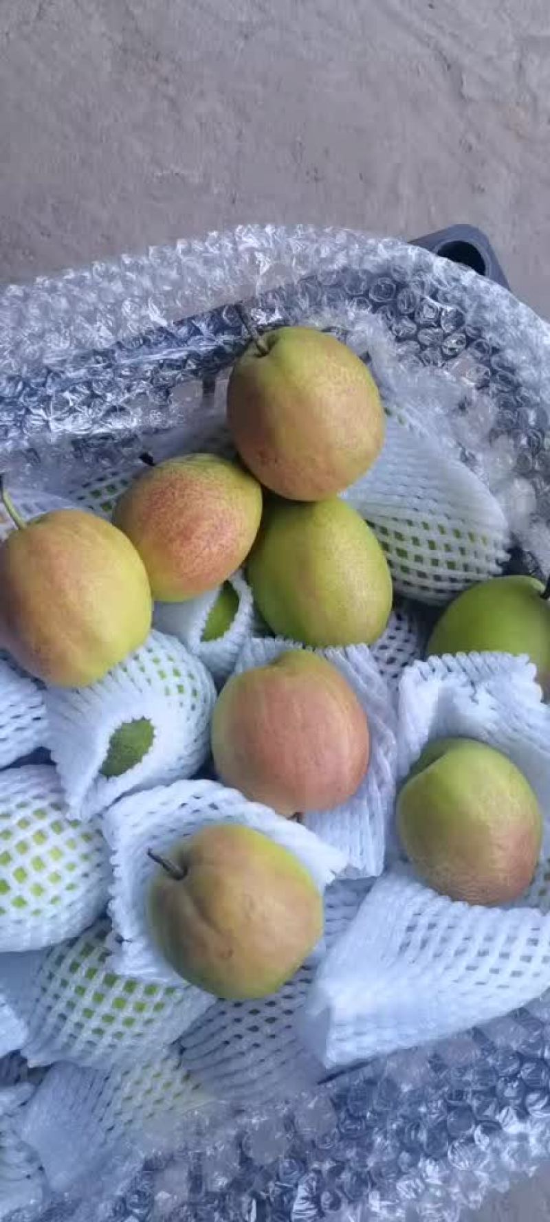 新梨七号🍐5-6毛一斤，质量好，价格优，全国发货