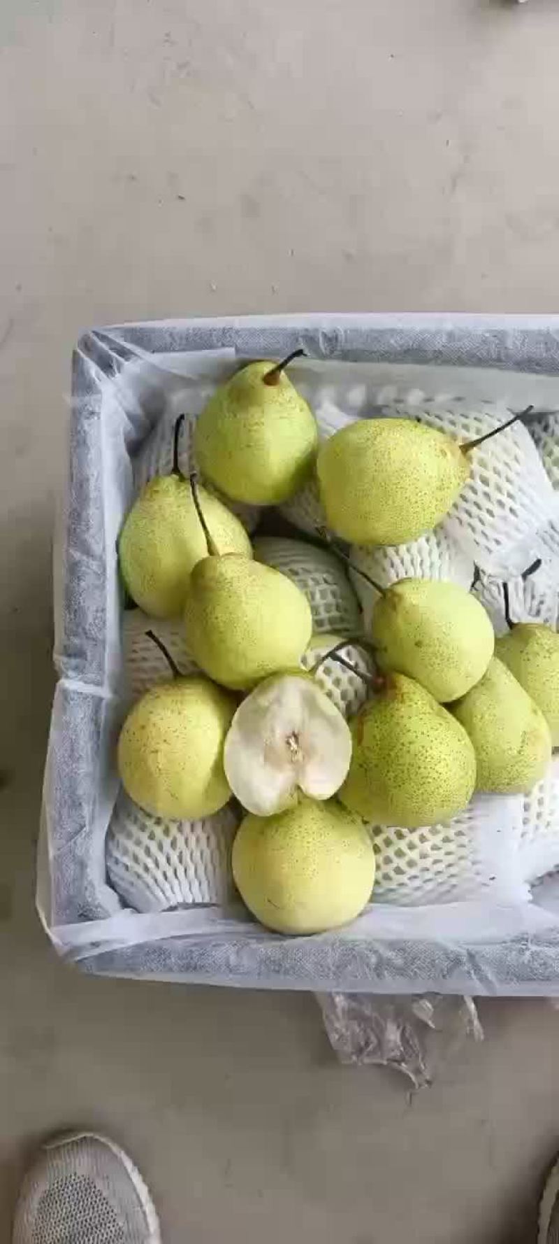 膜袋水晶鸭梨🍐2-3毛，口感嘎嘎甜，全国发货