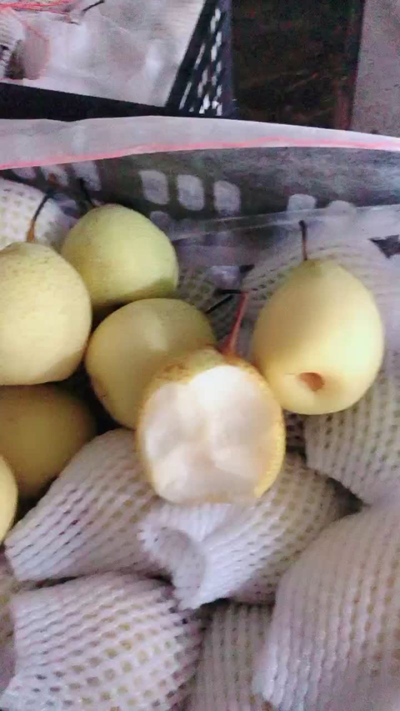 膜袋水晶鸭梨🍐2-3毛，口感嘎嘎甜，全国发货