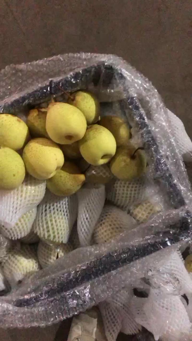 膜袋水晶鸭梨🍐2-3毛，口感嘎嘎甜，全国发货