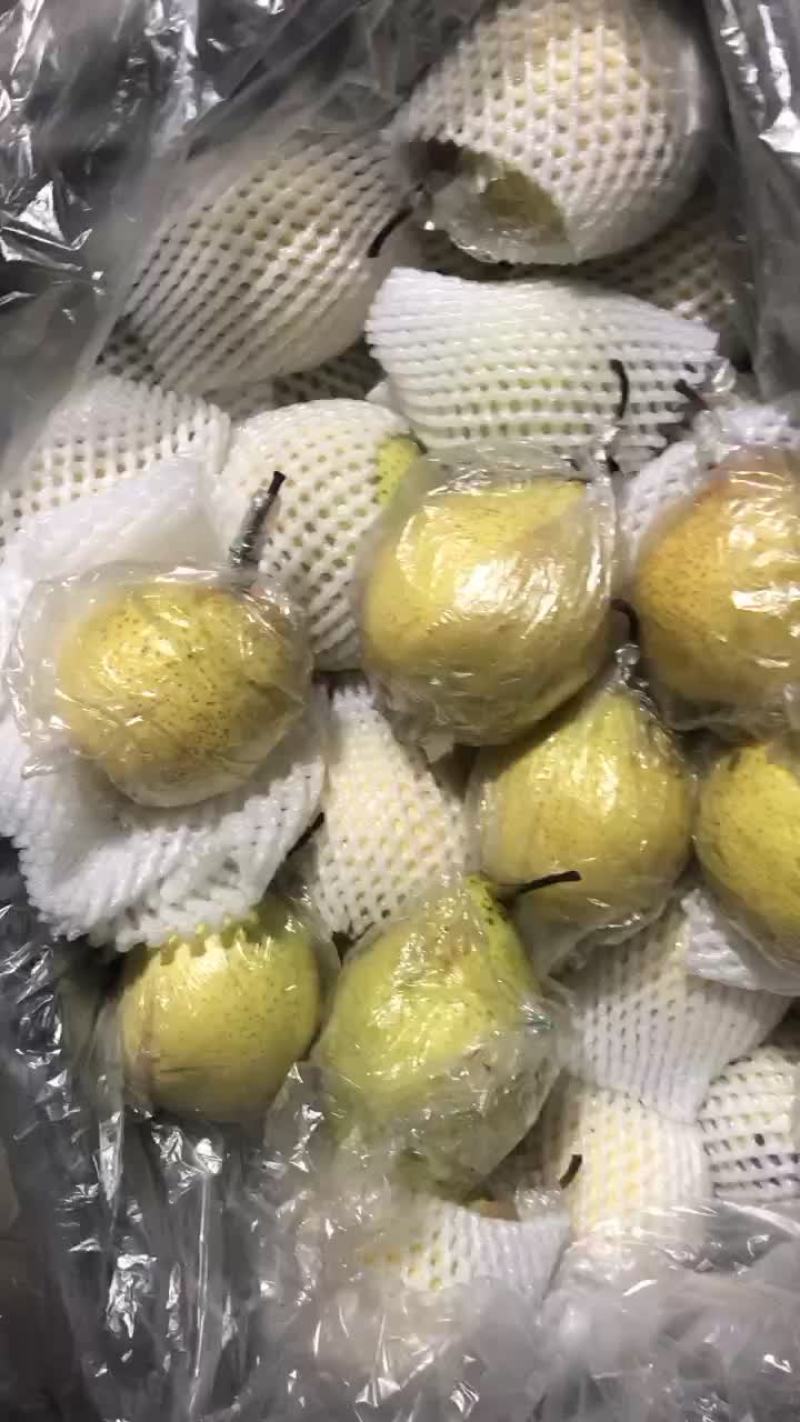 膜袋水晶鸭梨🍐2-3毛，口感嘎嘎甜，全国发货