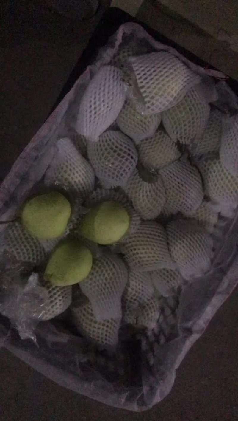 膜袋水晶鸭梨🍐2-3毛，口感嘎嘎甜，全国发货