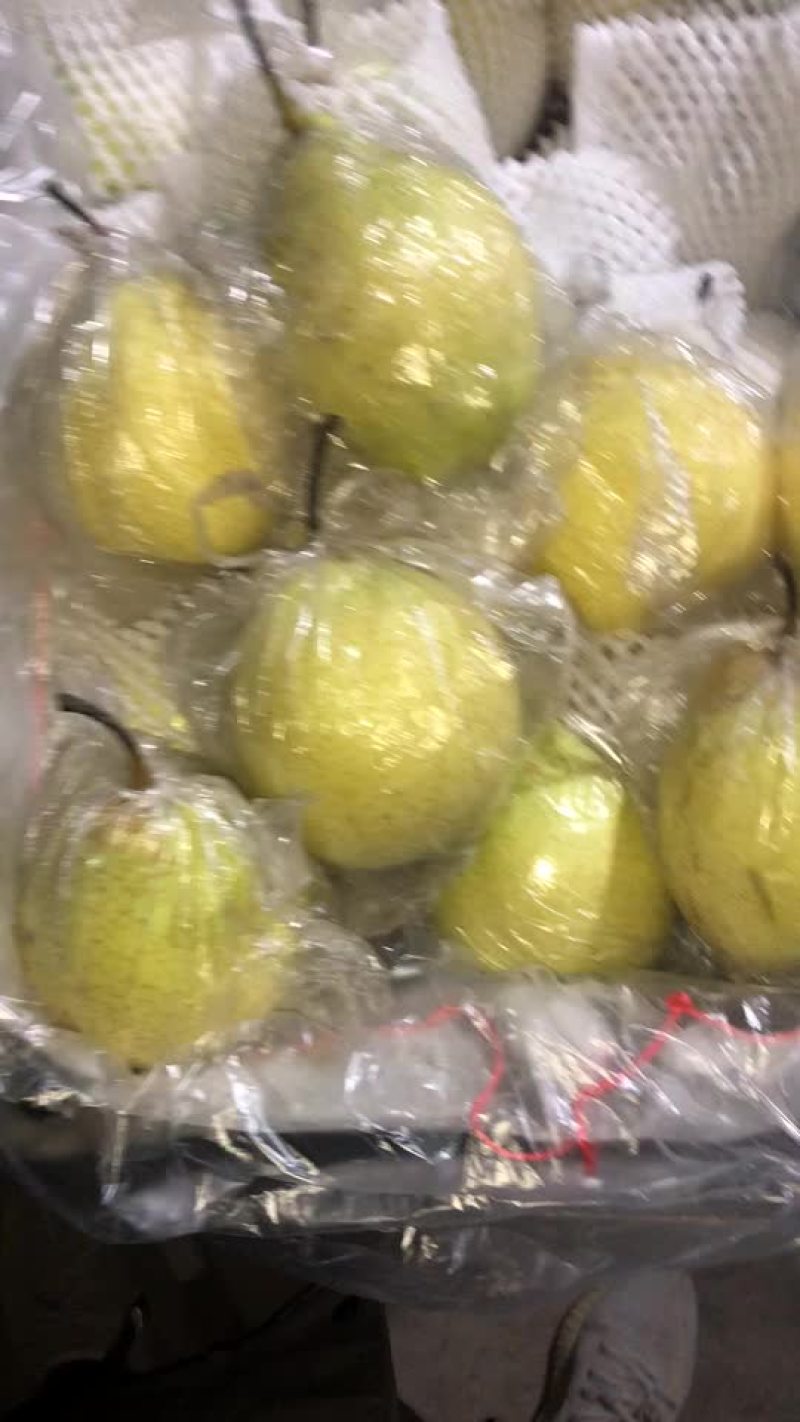 膜袋水晶鸭梨🍐2-3毛，口感嘎嘎甜，全国发货