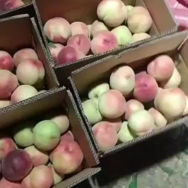 突围大量上市