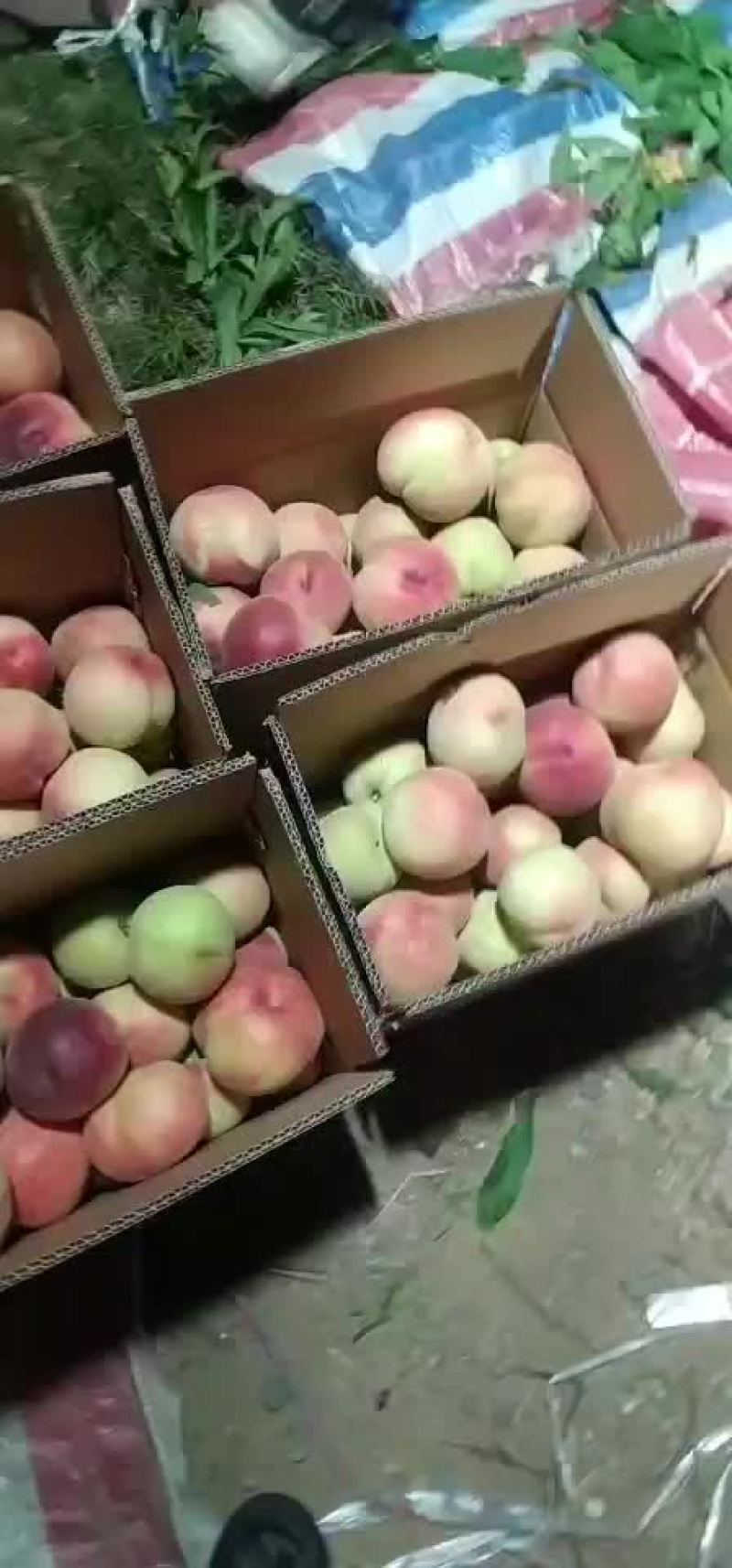 突围大量上市